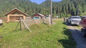 д. Большая речка. Ермаковский район. Июль 2024...