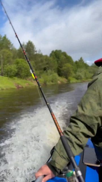 А как мило все начиналось 😂 #fishing #природа #рыба #рыбал? смотреть онлайн