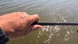 Рыбалка на сазана тут обитает крупная рыба