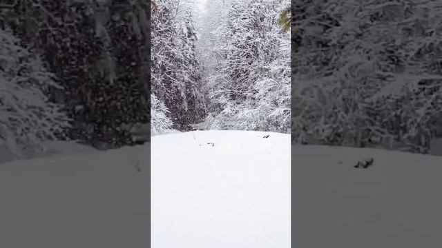 Лаго-Наки, 15 марта 2024. Снежная медитация смотреть онлайн