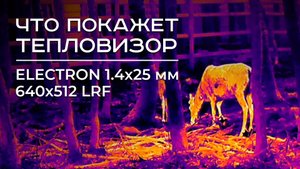 Что покажет тепловизор ELECTRON 1.4×25 мм 640×512 LRF