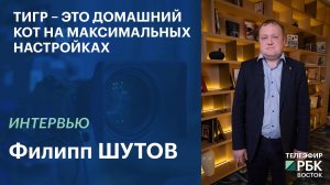 Тигр – это домашний кот на максимальных настройках | Интервью