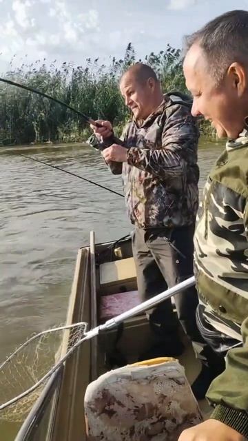 Сом в Астрахани смотреть онлайн