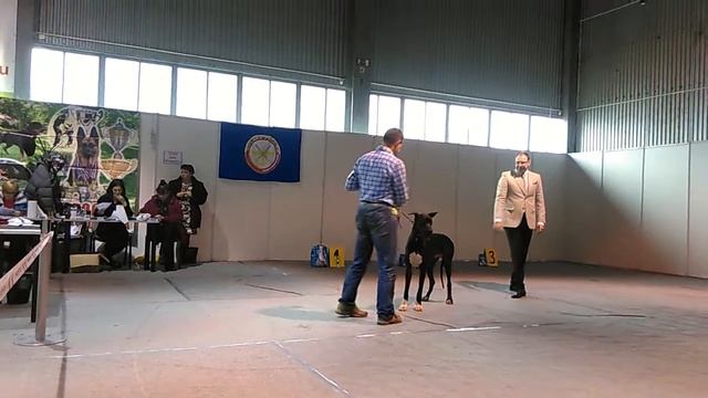 Всероссийская выставка смотреть онлайн