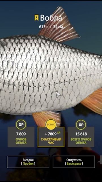 #рр4 #fishing #rf4 #рр4 #carpfishing #русскаярыбалка4 #русскаярыбалк смотреть онлайн