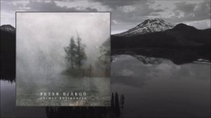 Peter Bjärgö - You Let the Light Shine Through