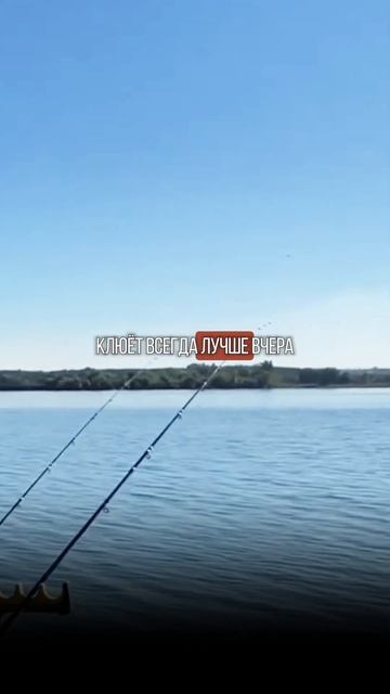 ТРИ ПРАВИЛА ДЛЯ ВСЕХ РЫБАКОВ, которые должен знать каж смотреть онлайн
