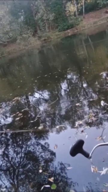 Щука на воблер Академик #fishing #рыбалка #спиннинг смотреть онлайн