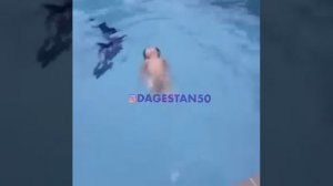, невероятная мальчик плавает на бассейн
