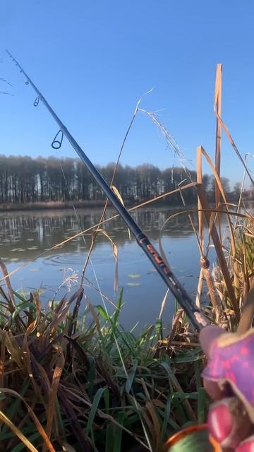 Duży szczupak na sylikon 🤯🎣#fishing #fishingvideo #spinning #fish #bigfish #щука #pikefi смотреть онлайн