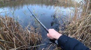 Рыбалка на щуку с берега, ловля на живца