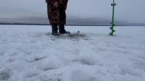 РЫБАЛКА на ЧУДСКОМ ОЗЕРЕ . 17.02.25