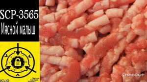 SCP-3565 - Мясной малыш