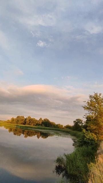 Летний вечер #лето #природа #река #рекомендации смотреть онлайн