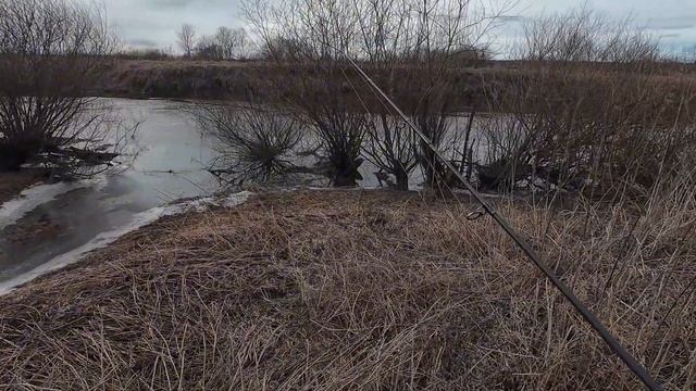 Поиск ЩУКИ В ПОЛОВОДЬЕ на малой реке.Кругом только ДИК смотреть онлайн