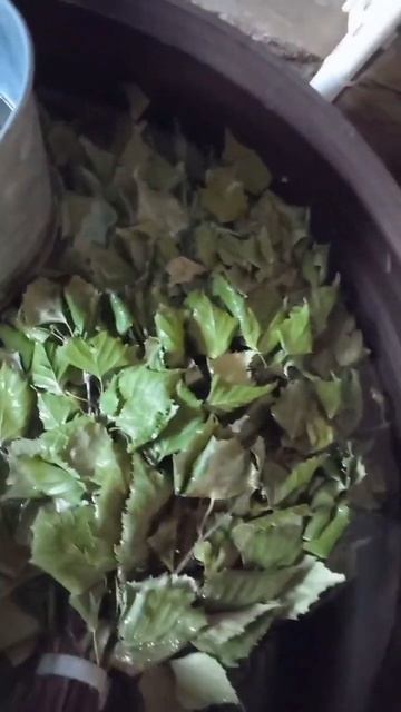 все что нужно для похода в баньку! отправляем в любые н смотреть онлайн