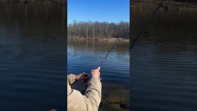 Ловим с первого заброса День 20🎣 #fishing #рыбалка смотреть онлайн