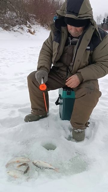 #плотва #fishing #рыбалка #сибирь #река #зима смотреть онлайн