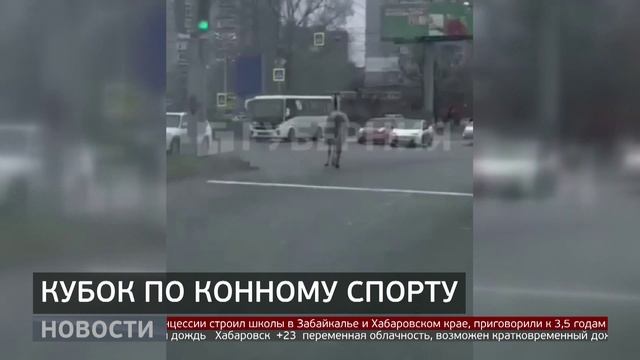 Конный спорт: как прошли краевые соревнования? Новости. 13/05/2025. GuberniaTV