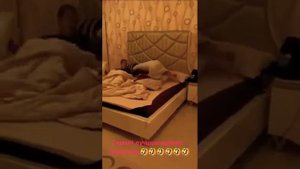 Самый лучший прикол - арабский. 🤣🤣🤣🤣🐅🐅🐅🐅أفضل نكتة عربية.🤣🤣🤣🤣