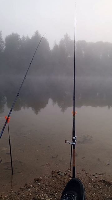 Где лучше ловить рыбу? fishing фидер рыбалка юмор