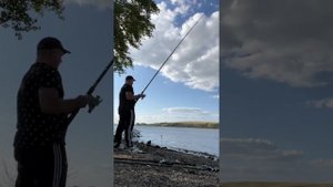 Рыбалка 2024. Место Уртазым, река Урал #рыбалка #хобби #ур