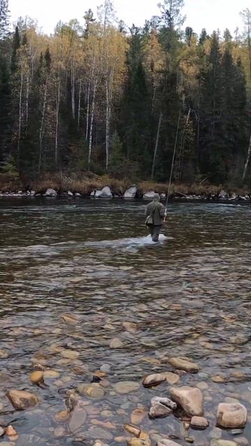 #Тайга)#Рыбалка❤ смотреть онлайн