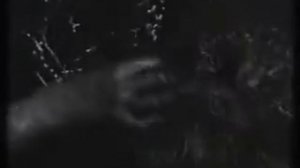 Смоки Мо - На Пути у Богов