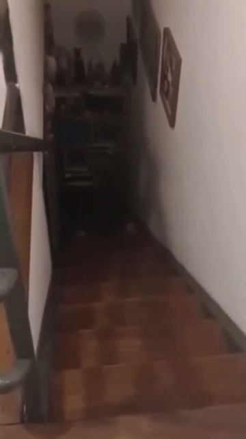 Руки под лестницей Девушка говорит,что у неё под лестн смотреть онлайн