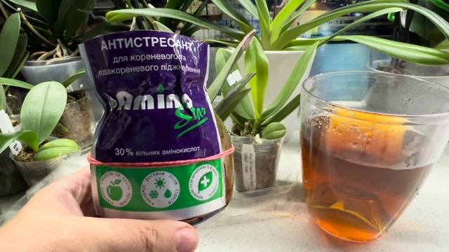 НОВЫЕ #орхидеи от Miki Orchid, УЦЕНКА! 🙆🏻♀️Про удобрени