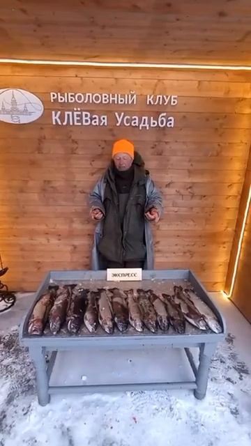 Форель на пасту желтый сыр смотреть онлайн