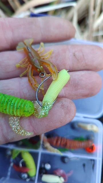 Активные vs Пассивные Приманки: ЧТО ЛУЧШЕ? смотреть онлайн