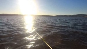 Рыбалка на Волчихинском водохранилище (Флюс). Ловля на