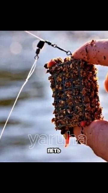 подпишитесь на Телегу пожалуйста #рыбалка#фидер #спин? смотреть онлайн