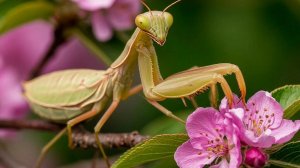 Доброе утро!