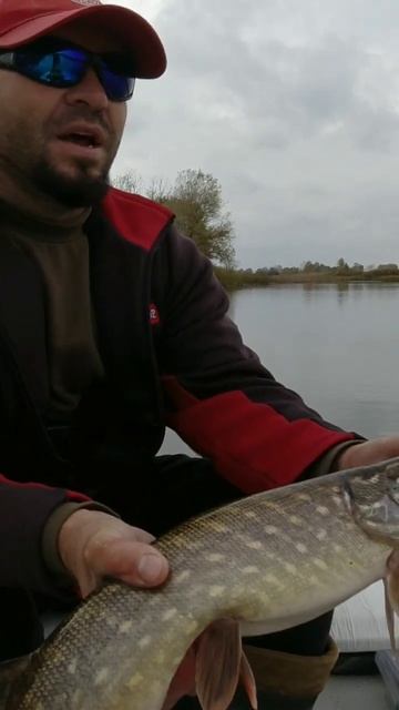 Жор щуки осенью #щука #трофей #рыбалка #спиннинг #ханте? смотреть онлайн