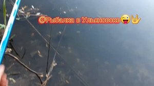 Рыбалка на Черемшане 🎣