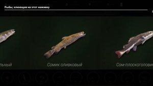 professional fishing 2 ловим оливковава сомика 1 часть