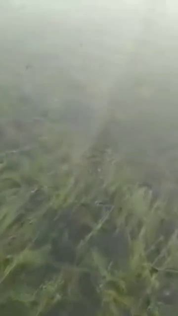 10 января 2023 г. смотреть онлайн