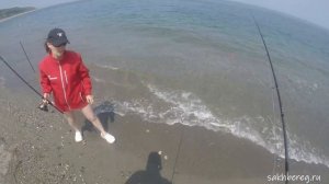 На рыбалку с женой. Ловим Горбушу #рыбалка #сахалин #ры?