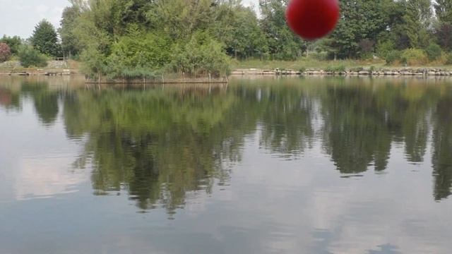 Рыбалка . Карп . Супер поплавок, который ловит сам!( кор?