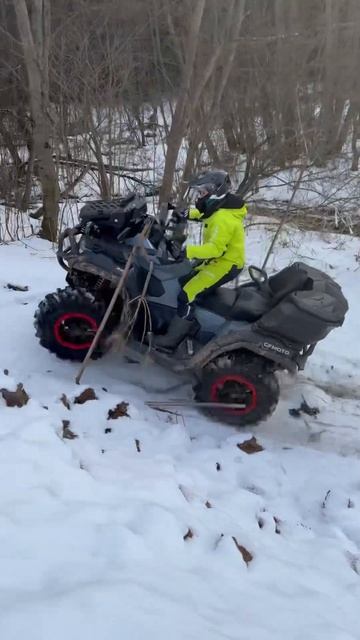 Cfmoto 1000  atv offroad stels snow mud brp cfmoto cforce polaris stelsleopard