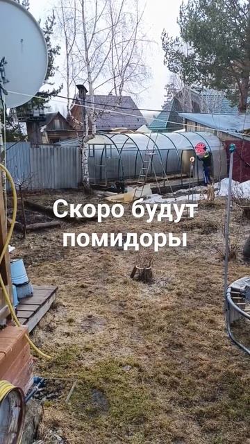 #урал #многодетные #мысемья #теплица #помидоры