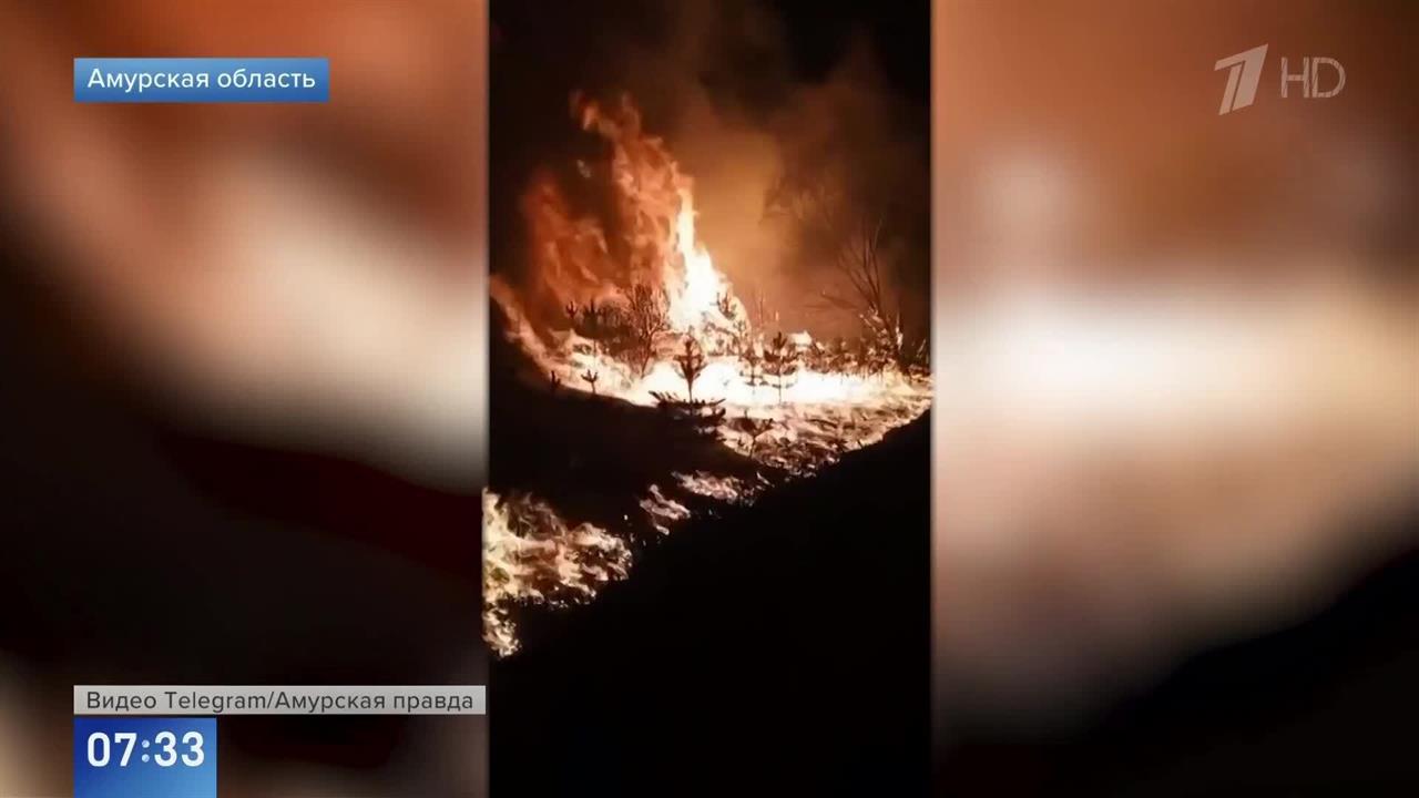 Появились кадры мощных лесных пожаров в Амурской области