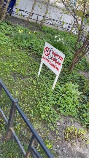 Выгул собак запрещен..