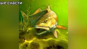 обзор игры "My fishing world- Мой рыбацкий мир"