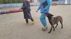 Кубок Урала по мондьорингу