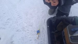 Белое море . рыбалка на корюшку . февраль 2025