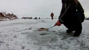 ПОПАЛ НА ВЫХОД ОКУНЯ ЗИМОЙ. ЗИМНЯЯ РЫБАЛКА НА МОРМЫШКУ