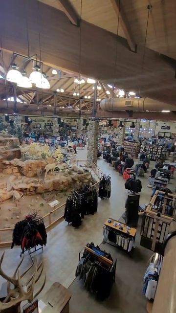 Магазин Все для спорта,туризма,охоты и рыбалки в США смотреть онлайн